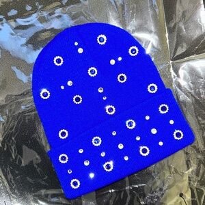 “Blue Dynasty” Beanie